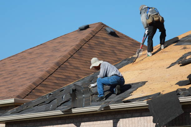 Best Steel Roofing  in Rk Forest Village, PA